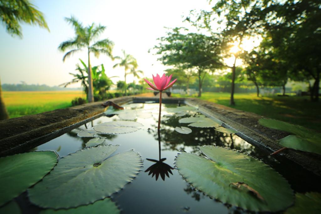 Ruins Chaaya Hotel Polonnaruwa Luaran gambar